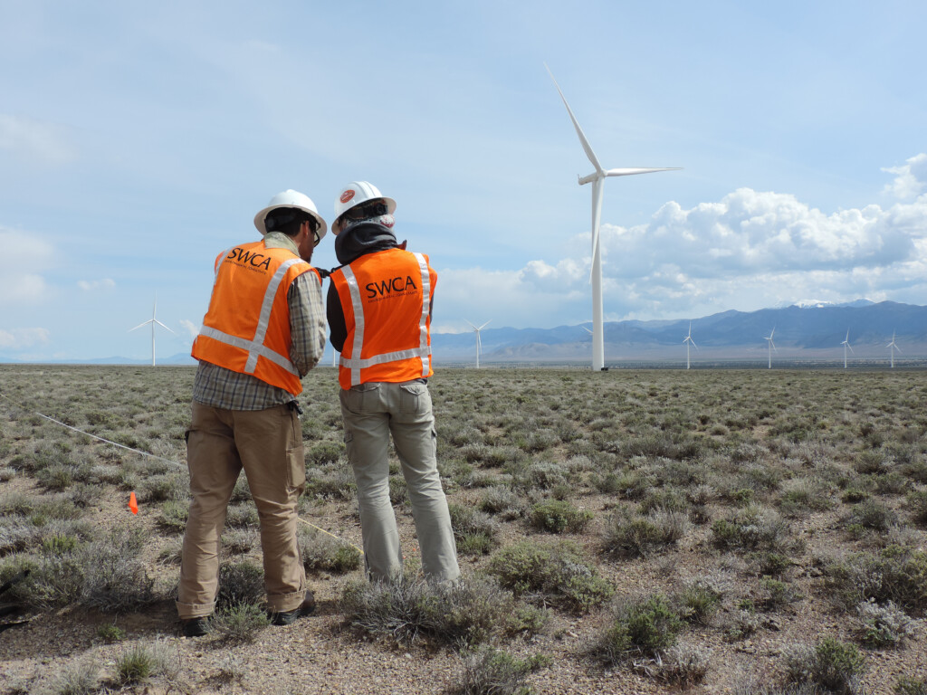 Two SWCA employees with safety vests and hard hats working in the field, near a wind turbine.