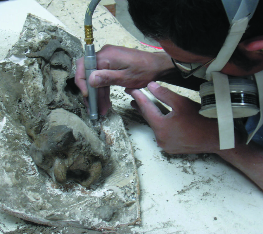 Close up of a paleontologist wearing ventilation mask and using a tool to refine a fossilized sample.