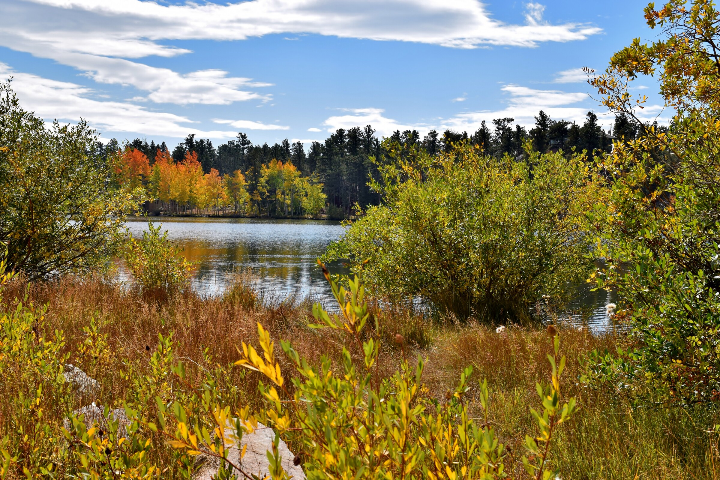 A photo of Lake Autumn showing colorful tress and vegetation around the lake.