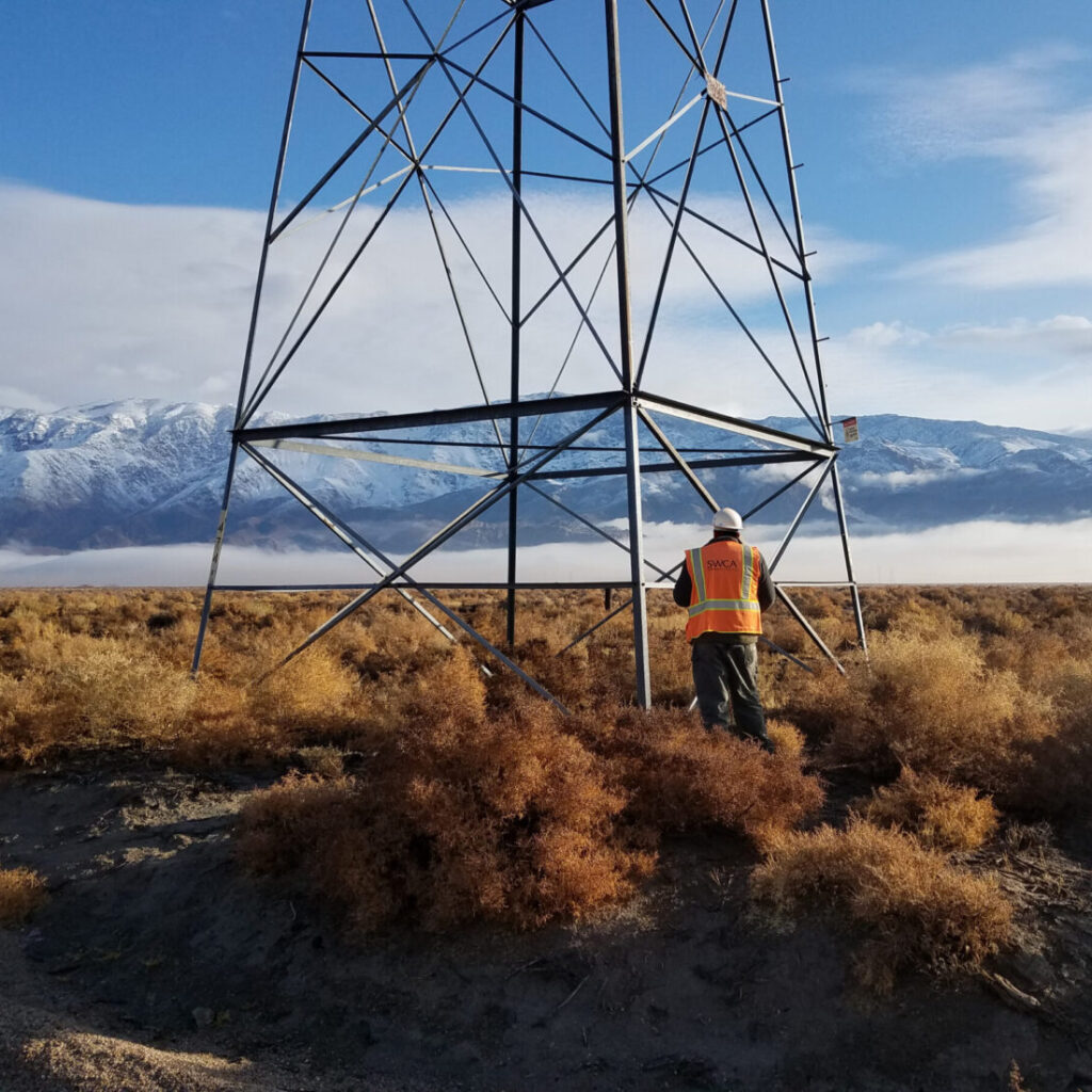 SWCA employee, with a safety vest and hardhat, standing at the base of a transmission tower surrounded by vegetation that is ankle level with a mountain range in the background.