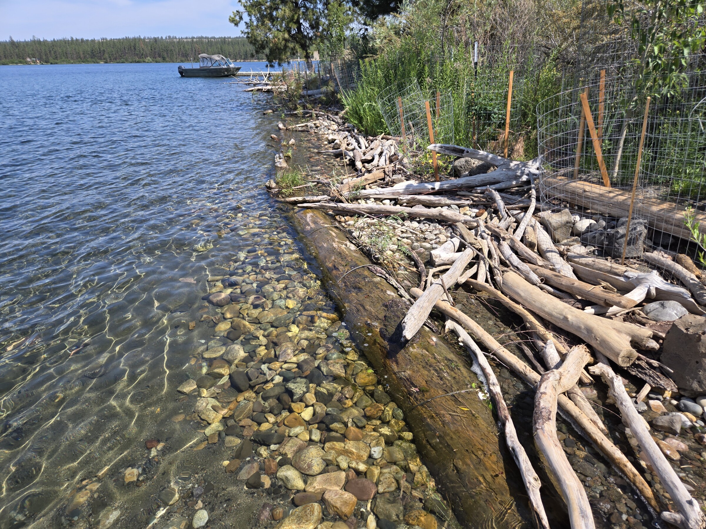 A shoreline with driftwood and a wetland buffer with a boat in the background.