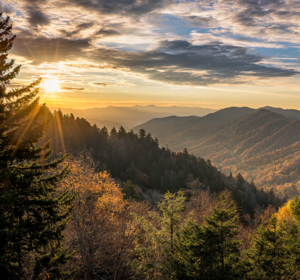 Landscape scene of evergreen trees on mountainsides as the sun rises.