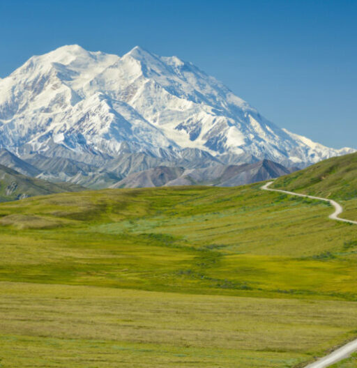 Landscape shot of Mount Denali covered in snow while the grass is green in the foreground field.
