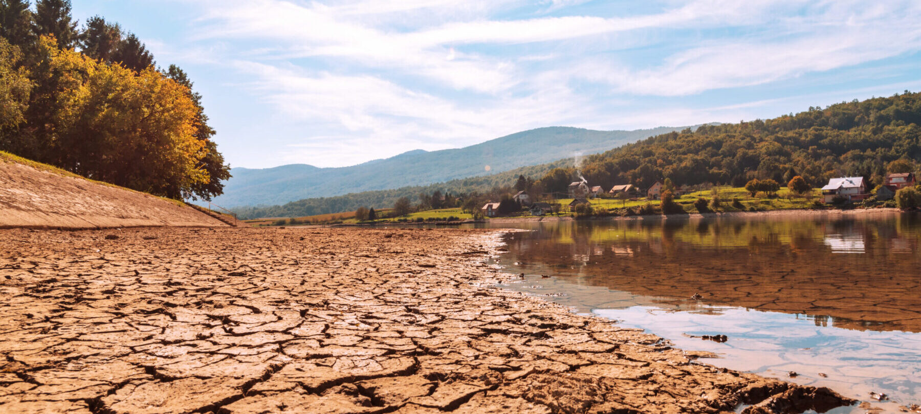 The cracked earth at the edge of a pond that is drying out.