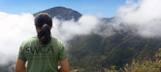 A woman's back to the camera, her tee shirt says SWCA. She looks towards a lush mountainside verdant with foliage.