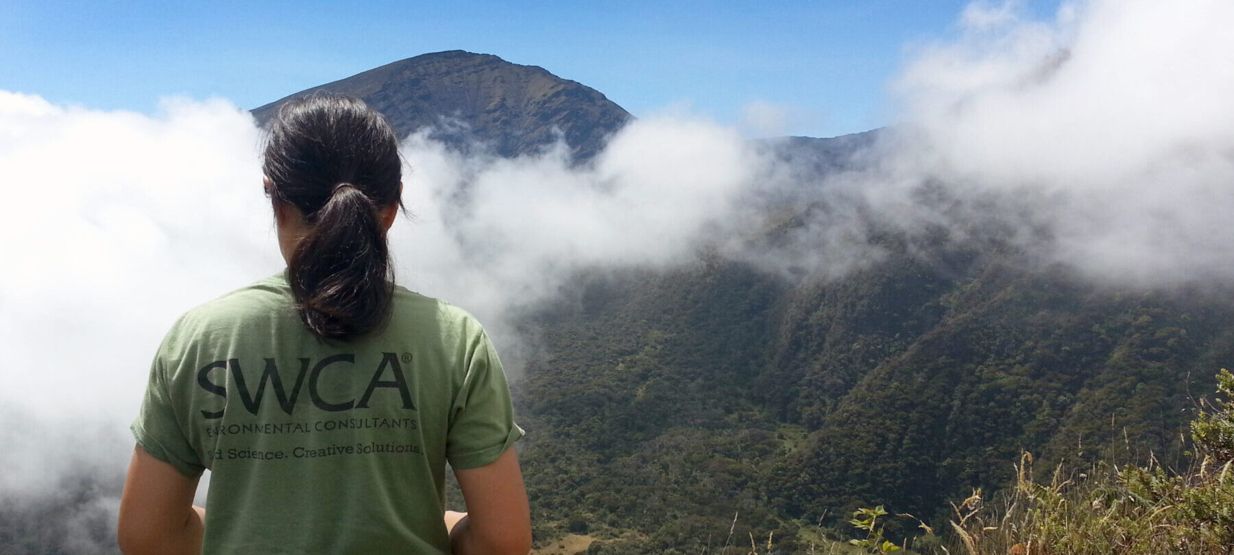 A woman's back to the camera, her tee shirt says SWCA. She looks towards a lush mountainside verdant with foliage.