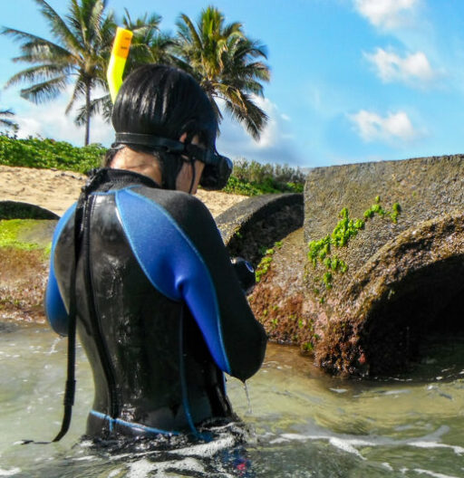 Person submerged to the waist in water, wearing a snorkel and wetsuit.