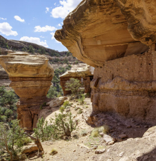 Cliff overhang at Bears Ears National Monument