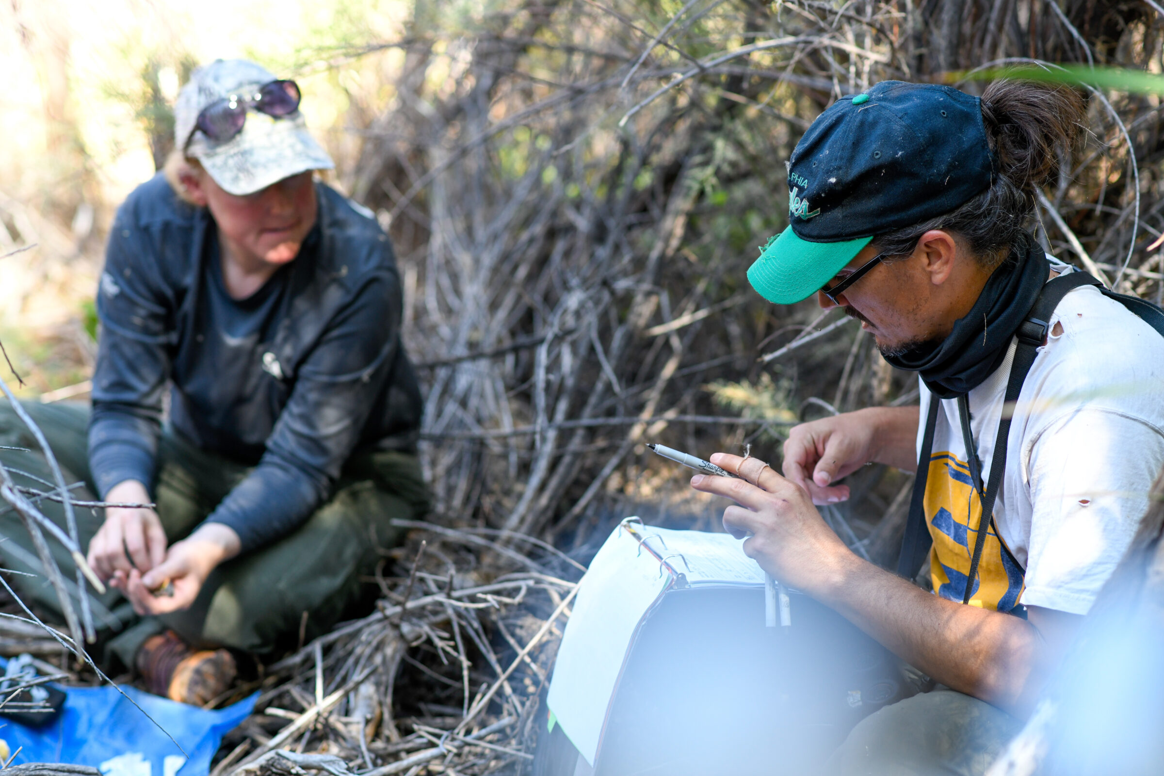 Two field workers sit in underbrush, working from a paper notebook.