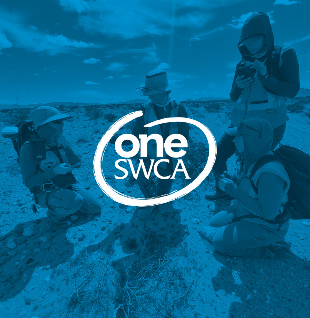 One SWCA. Four workers in the desert.