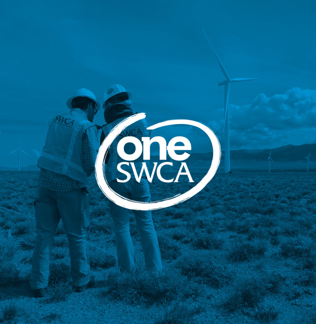 One SWCA tinted photo of workers near turbine