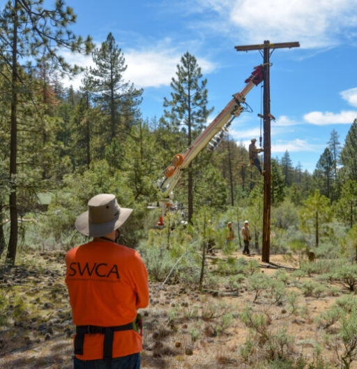 SCE crews removing a telephone pole at Los Padres National Forest.