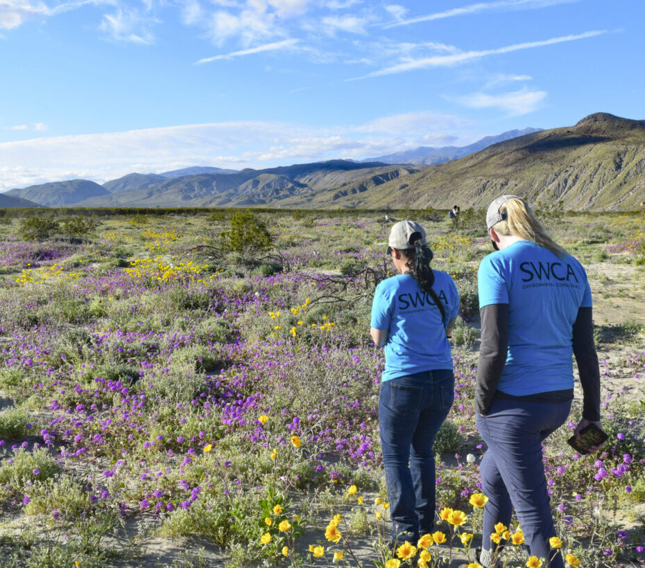 Two women in the field, walking through purple and yellow wildflowers.