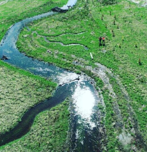 Overhead drone view of a winding, forked river with bright green vegetation and two people standing on land.