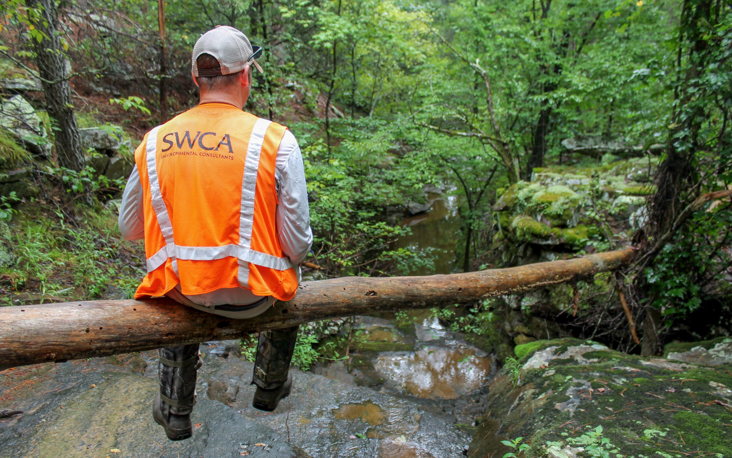 Worker in SWCA safety vest sits on a felled tree in a rainforest setting.