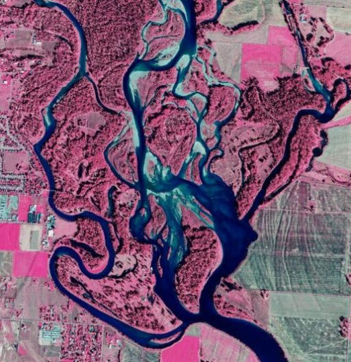 Aerial photo of a river that branches into three, and has twisting horseshoe bends. The surrounding land appears pink and brown.
