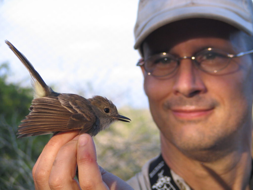 Man examines the Galapagos Flycatcher bird in his hand.