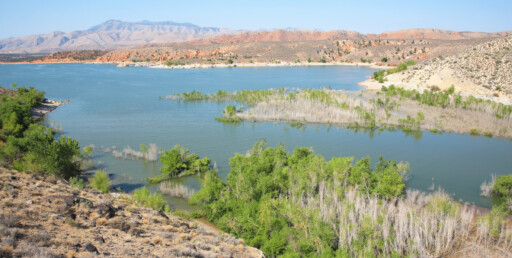 A view of Gunlock State Park in Utah, USA. The view shows a body of water that looks like a river with green vegetation on the coast with the mountains in the back.