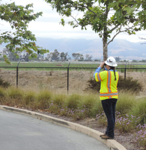 A worker in a bright safety jersey and hard hat uses binoculars to inspect trees in the distance.