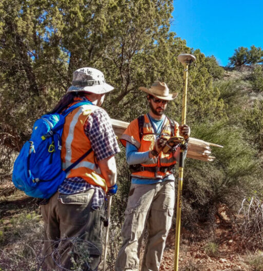 Two SWCA employees engaged in fieldwork near conifer trees.
