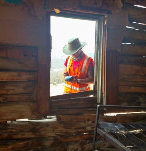 From the inside of a historic cabin, a field technician is framed in the window.