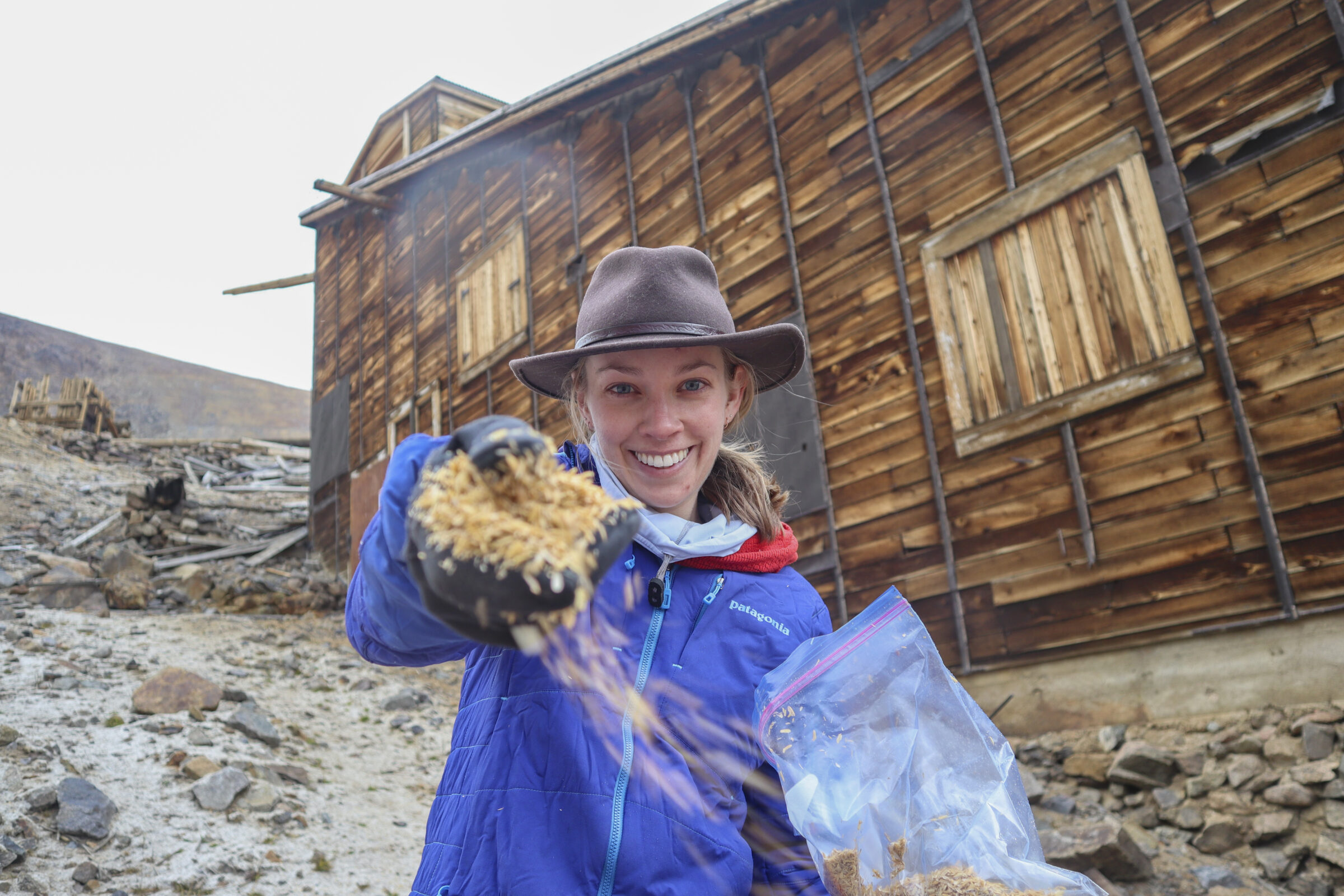 Woman scatters hay at a burn site
