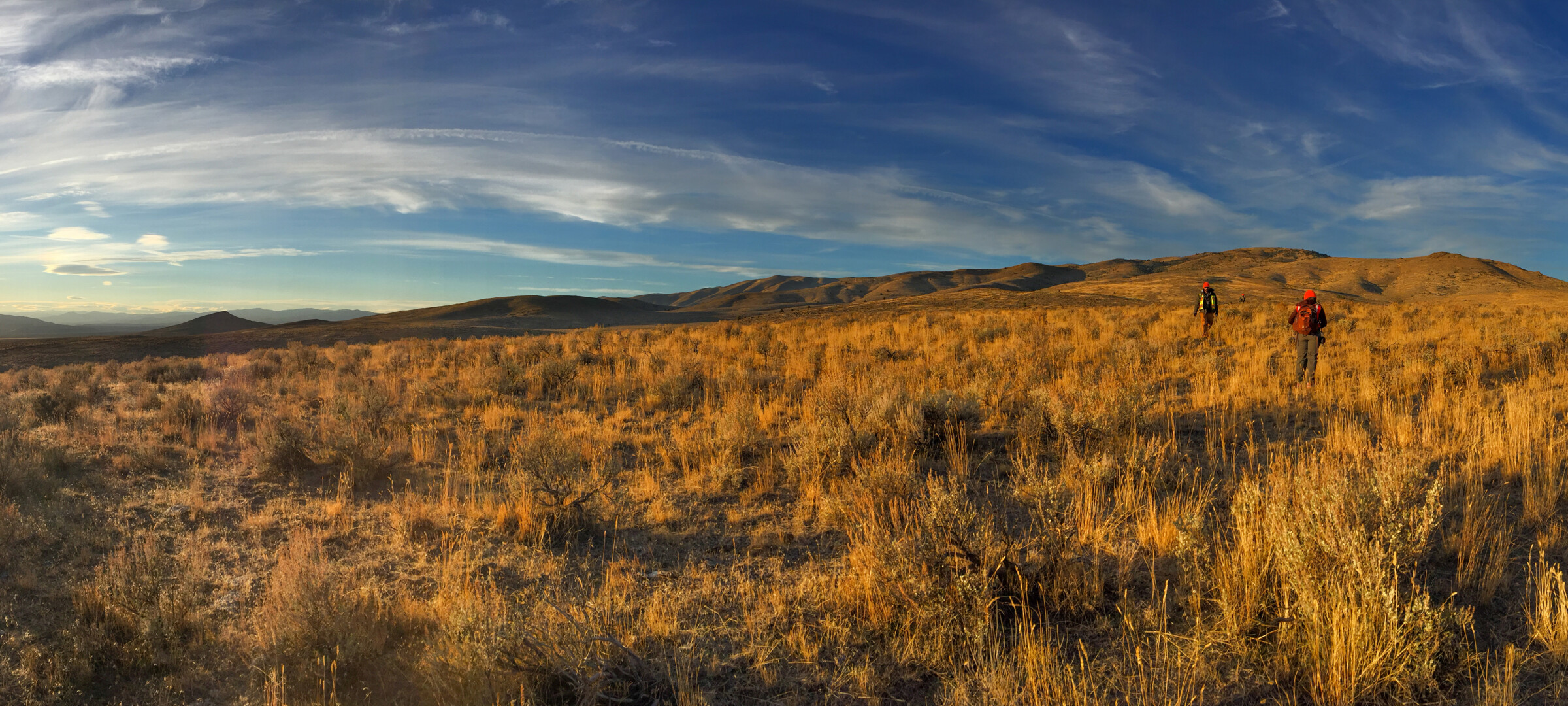 People walking through grasses and shrubs in the high desert plains at golden hour.