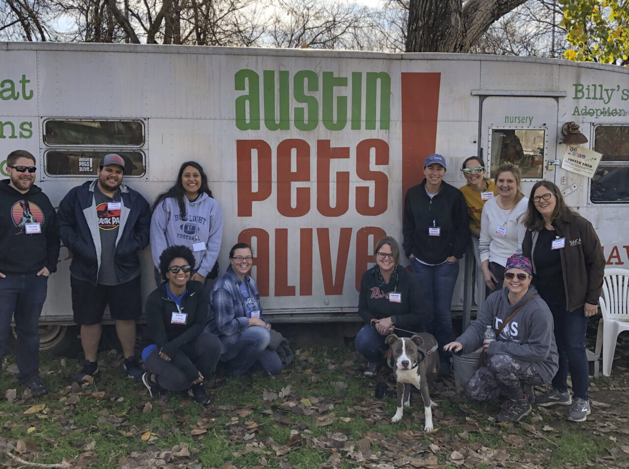 Austin staff volunteering at Austin Pets Alive