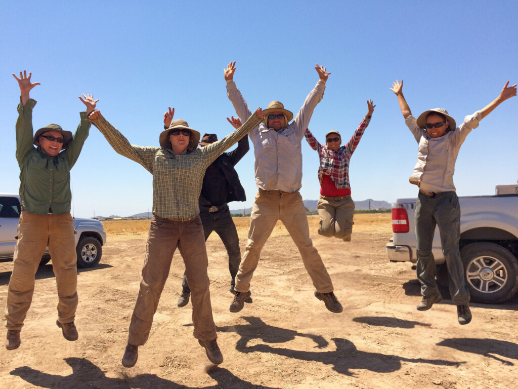 Six people jump up simultaneously in a desert landscape.