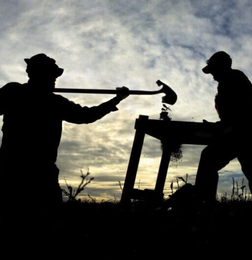 Two workers at dawn, silhouetted. One dumps dirt into a sieve held by the other; dirt falls through the sieve.