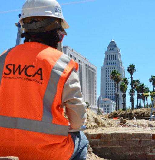 Person in a hard hat and orange SWCA vest sits at a dig site overlooking palm trees and LA skyscrapers.