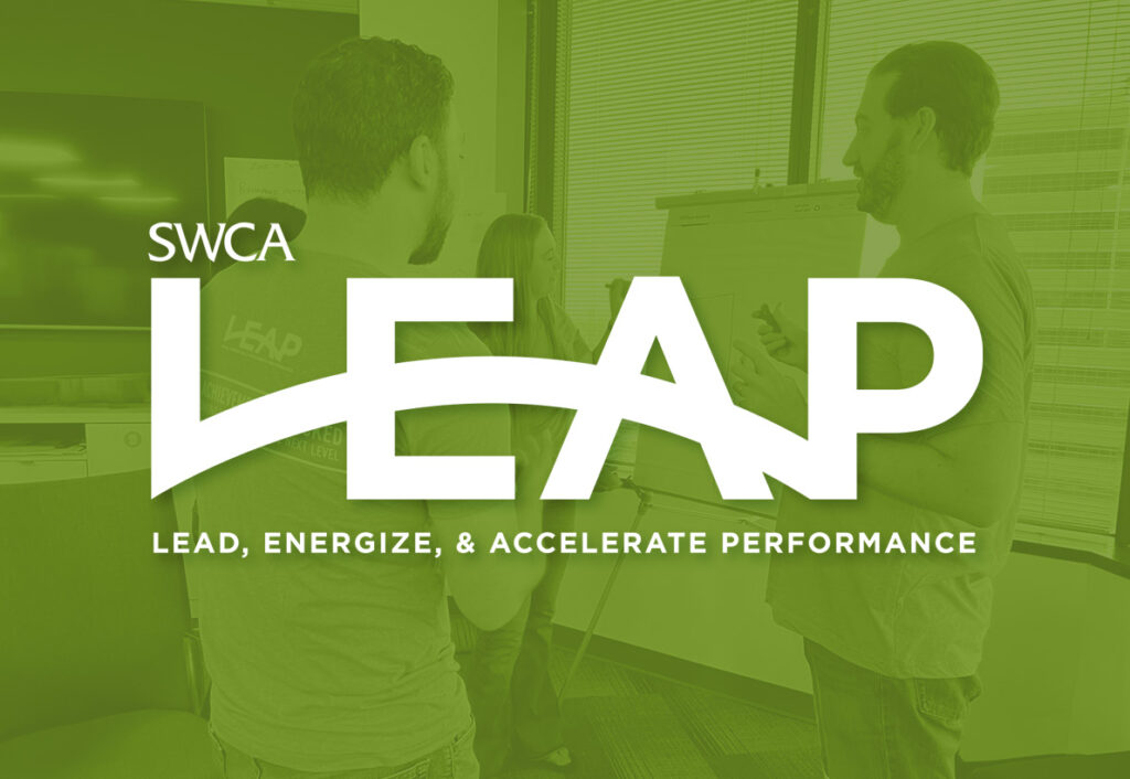 Lead, energize and accelerate performance. LOGO.