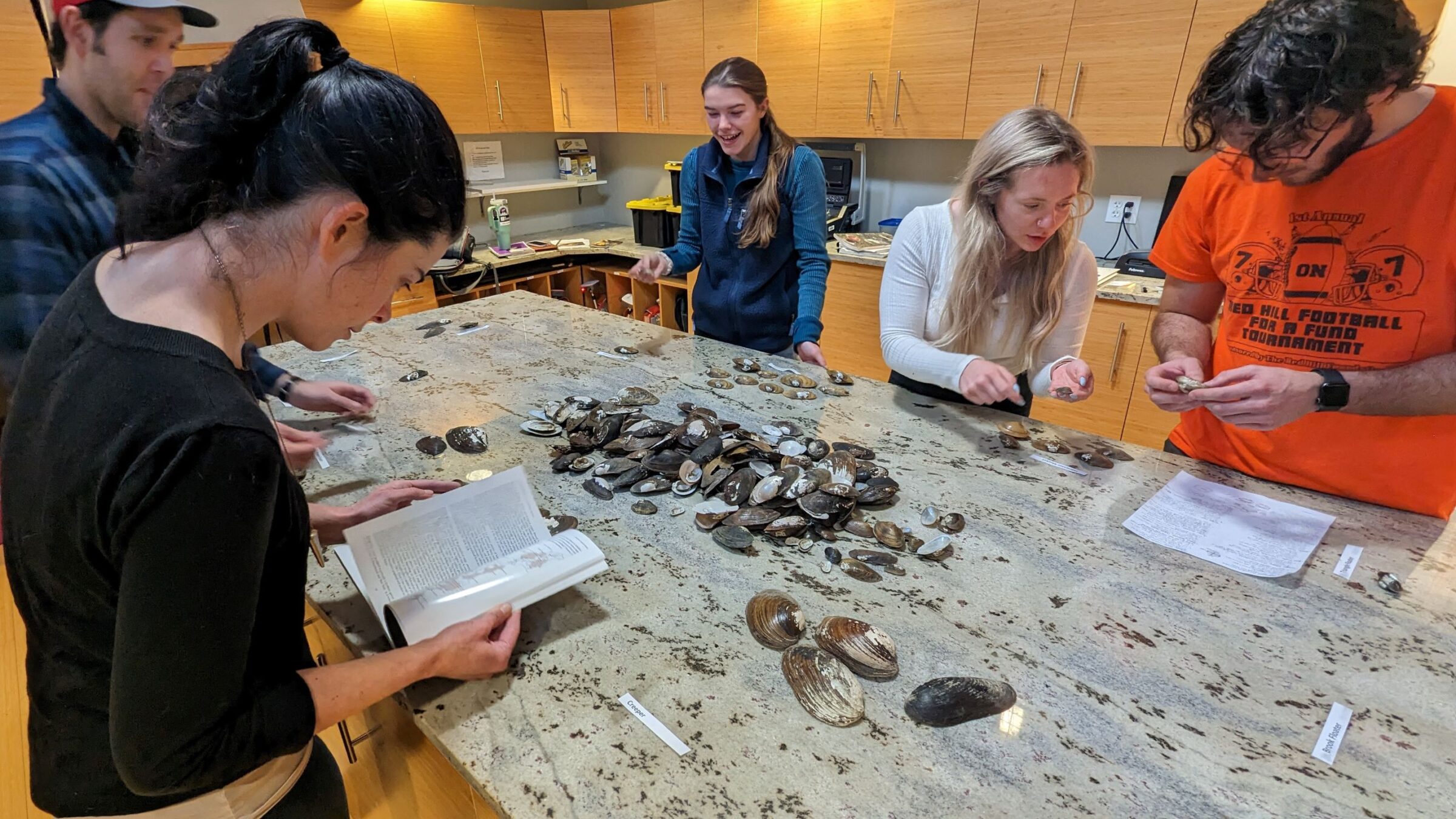 Five interns at a laboratory table researching and sorting mussel shells.