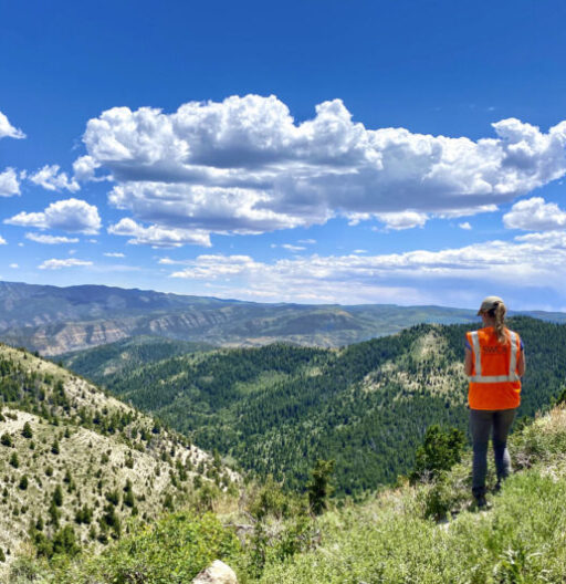 SWCA employee stands at a scenic vista of mountains in summer.