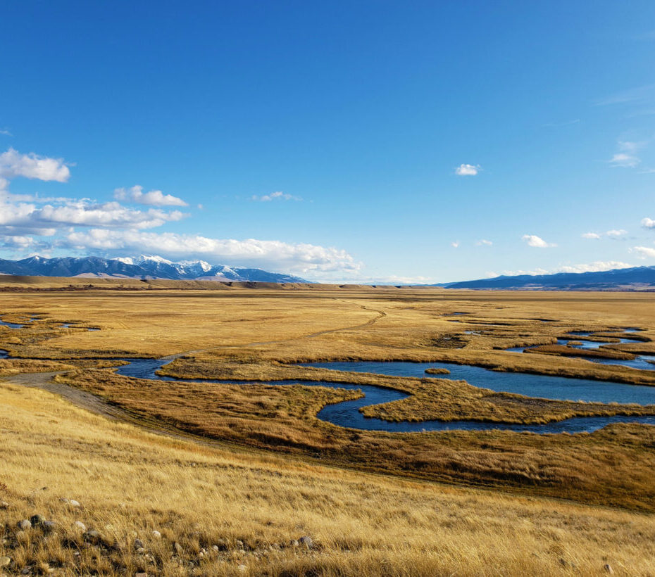Landscape view of a creek in dry grass plains.