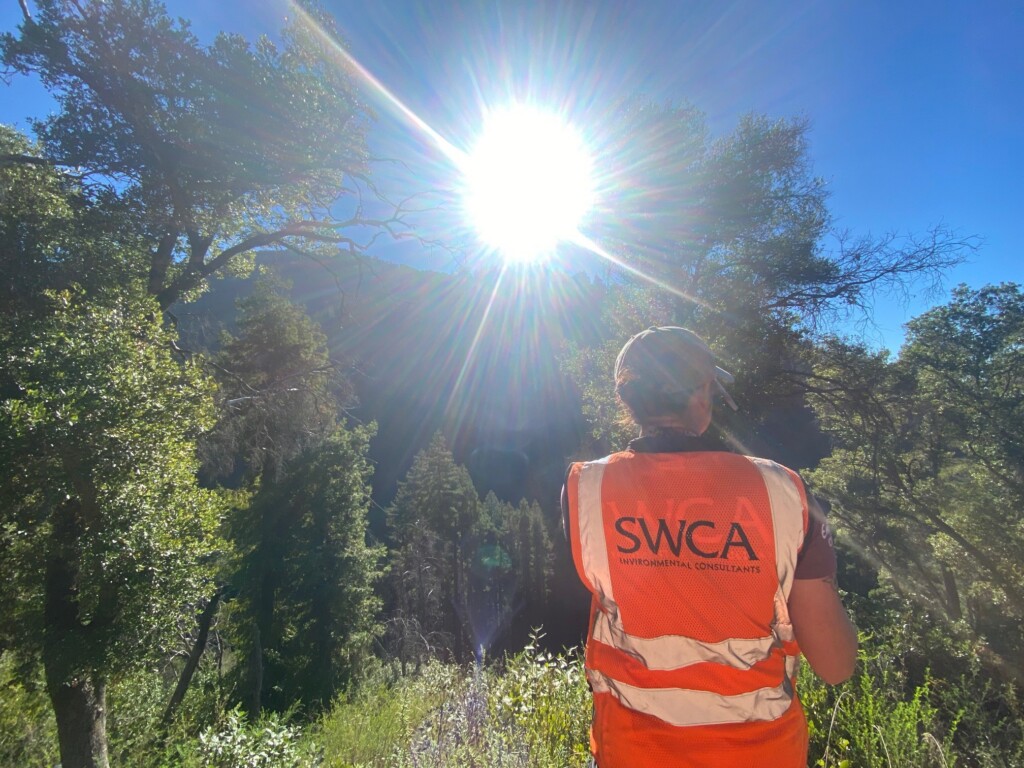 A person standing in front of trees and vegetation while wearing a safety SWCA orange vest. 