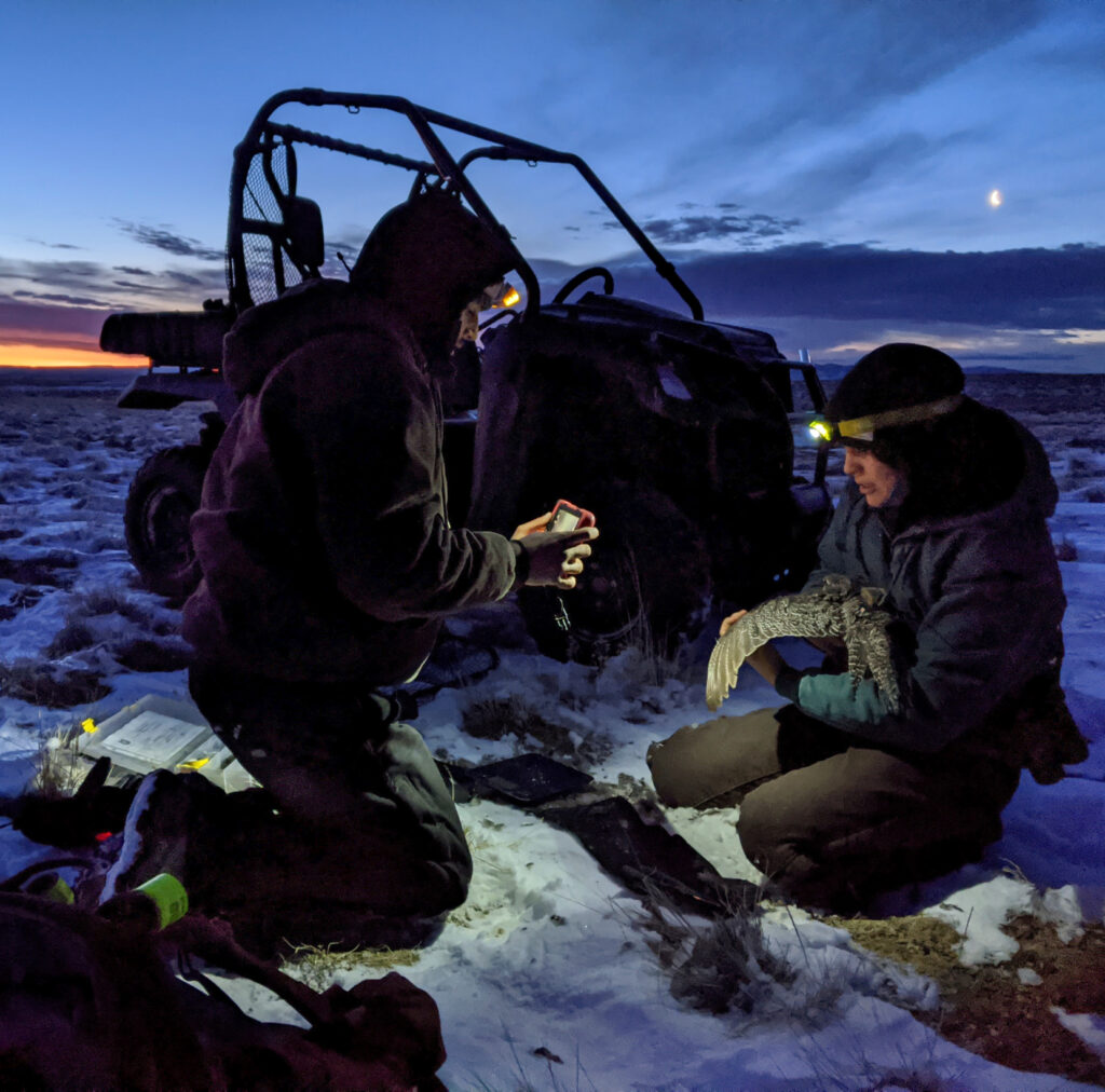 Two people kneeling in the snow to take a picture of a bird wing.