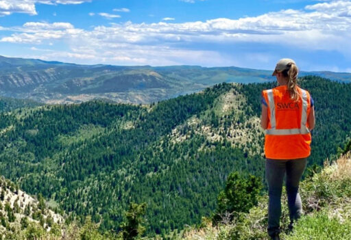 One worker seen from the back surveys the wilderness landscape of distant hills.