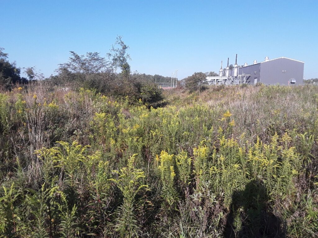 Rover-Bulger Compressor Station and Harmon Creek Meter Station with yellow flowers around it.