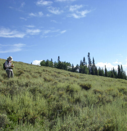 A person taking notes in a sloping, grassy field.