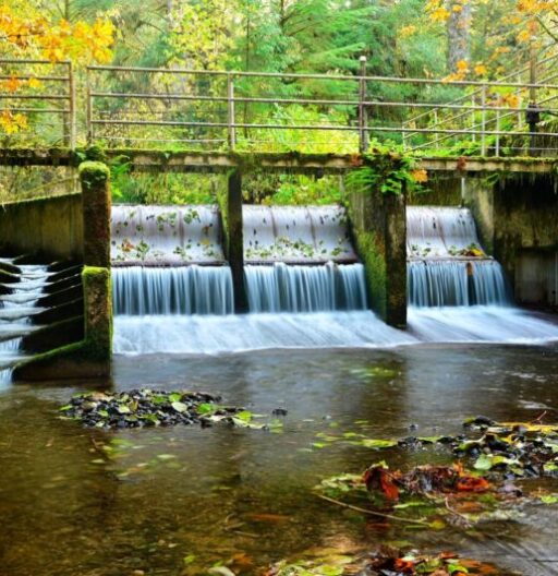 Small dam with multiple spillways and a fish ladder.