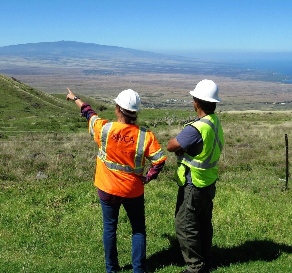 Two SWCA employees with their backs toward the viewer standing in a grassy field with a mountain in the distance.