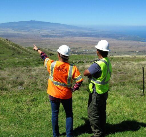 Two SWCA employees with their backs toward the viewer standing in a grassy field with a mountain in the distance.