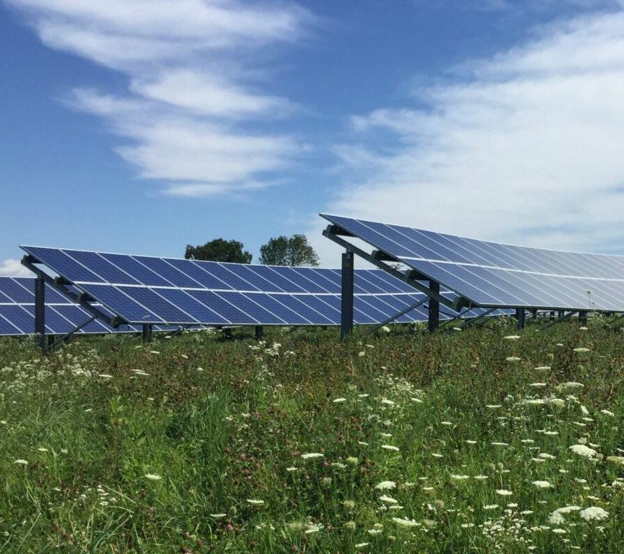 solar photovoltaic array in a field of wildflowers.
