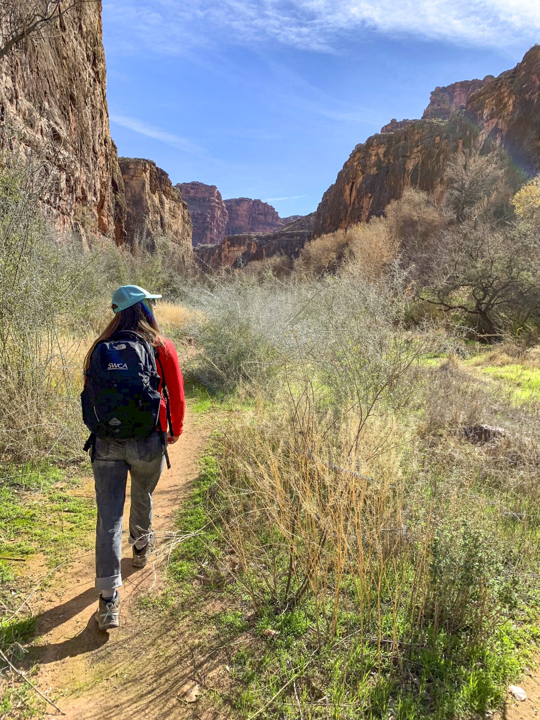 One hiker viewed from behind is walking through Havasu Canyon on a sunny day.