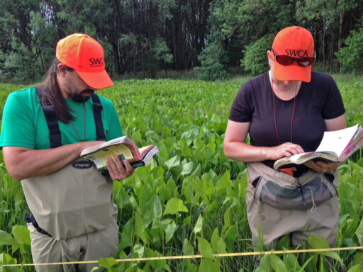 Two field workers in a field of tall vegetation, wearing waders, examining notebooks.