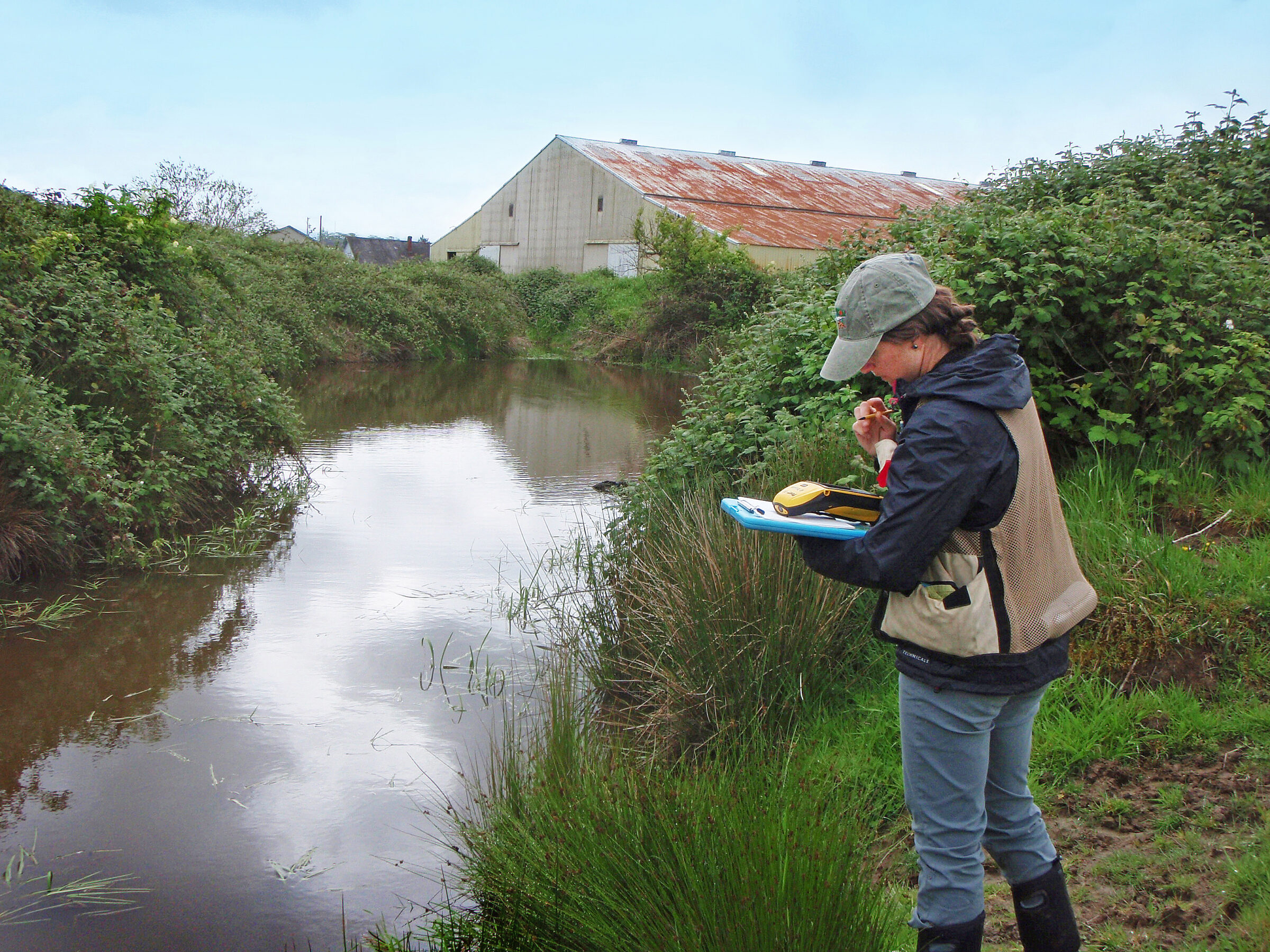Woman with clipboard works creekside on a clear day.
