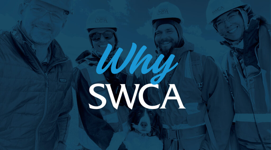 Why SWCA banner image showing 4 people and a dog.
